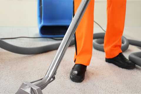 Is carpet cleaner toxic to humans?