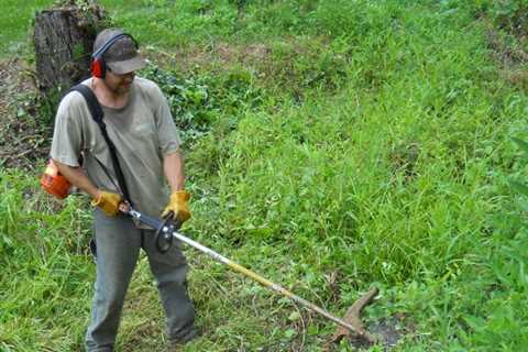 Bush Removal - Daytona Tree Men