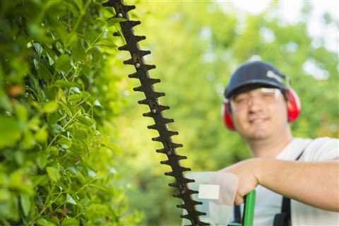 Tree Service Sanford - Daytona Tree Men