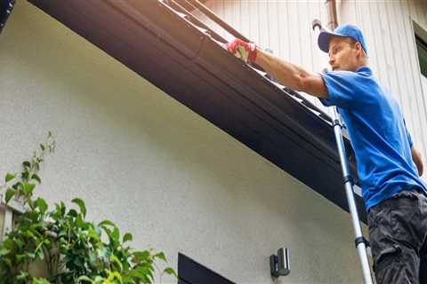 Home Landscaping and Gutter Cleaning - What You Need to Do and Need to Avoid