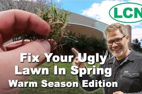Fix Your Ugly Lawn In Spring 2021 - Warm Season Edition