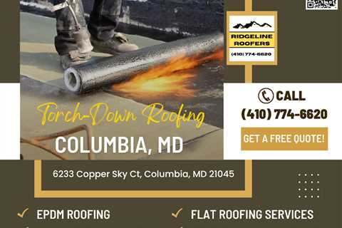 Gutter Cleaning Recommended in Columbia, MD