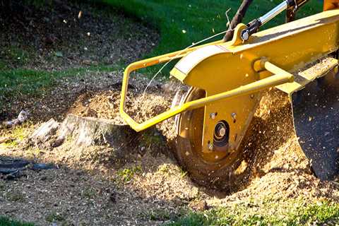 Stump Grinding Services in Wellston, Ohio