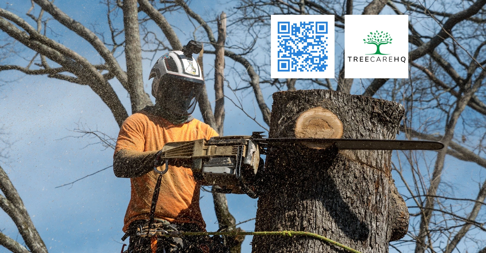 TreeCareHQ Roanoke