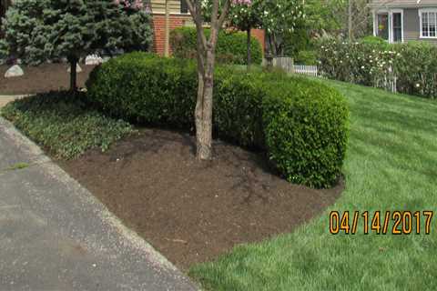 When is the Optimal Time to Plant Trees for Landscaping?