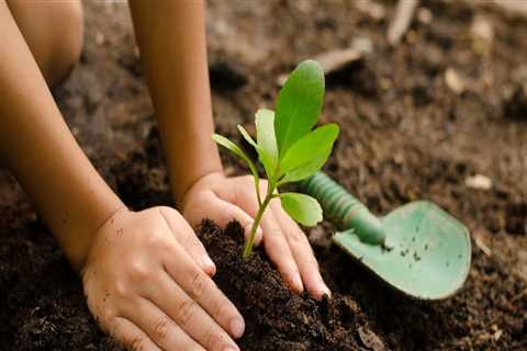 Discovering the True Meaning of Life: Planting Trees for Future Generations