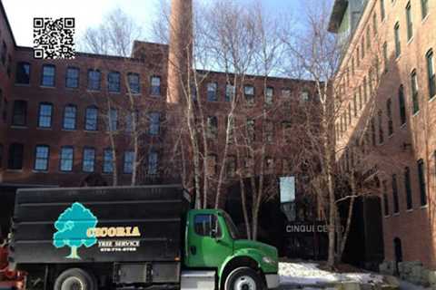 Cicoria Tree and Crane Service, Inc.