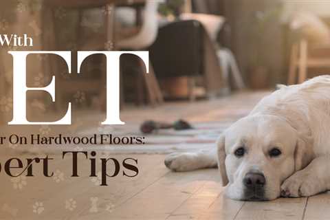 Dealing With Pet Urine Odor On Hardwood Floors: Expert Tips