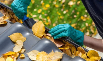 Gutter Cleaning Paulton