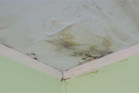 How A Leaking Roof Causes Mold And How To Stop It