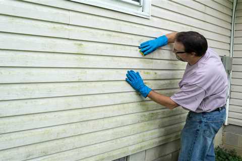 Maintaining Your Siding: Long-Term Durability Tips