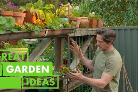 Mini Garden Project | GARDEN | Great Home Ideas