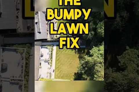 fixing deep holes in a lawn #lawncare #lawncaretips