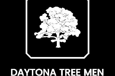 Tree Service Port Orange - Daytona Tree Men