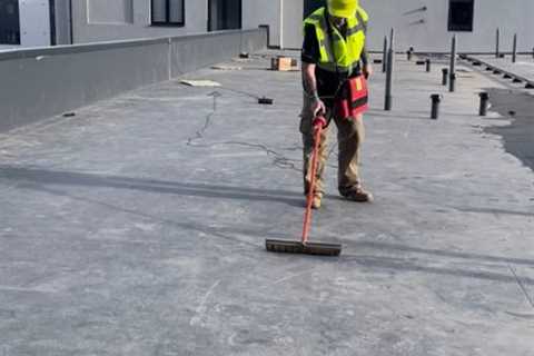 Roof Leak Detection Poplar