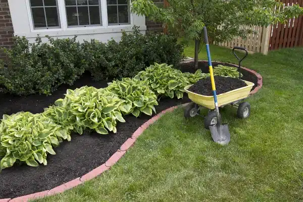 How Often Do You Need To Maintain Landscaping?