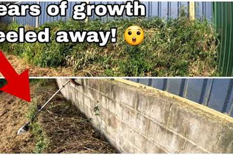 UNTOUCHED for YEARS! Tall grass mowing Australia