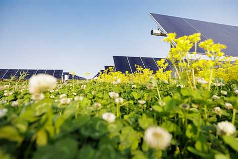 Lightsource bp completes 152.5-MW pollinator-friendly solar project in Indiana