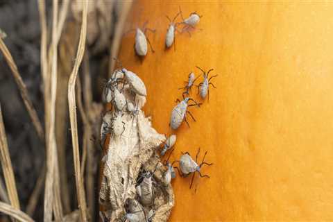 Why is pest control important?