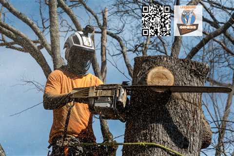 Genesis Tree Service Leesburg - Tree service Leesburg, Virginia