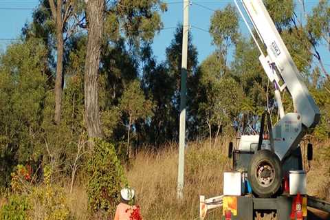 Maintaining Trees In Scottsdale: The Importance Of Proper Tree Trimming