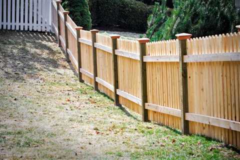 Choosing the Right Wood for Your Fence: In-Depth Guide