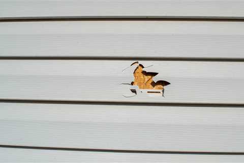 How to Repair Damaged Vinyl Siding: A Homeowner’s Guide