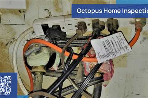 Standard post published to Octopus Home Inspections, LLC at June 06, 2023 20:00