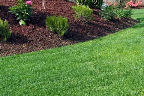 When To Mulch Lawn