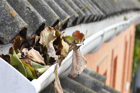 What happens if you don't clean your gutters before winter?