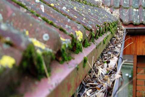 What problems do clogged gutters cause?