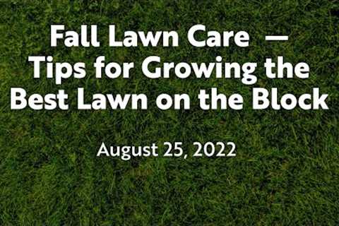 Fall Lawn Care – Tips For Growing The Best Lawn On The Block