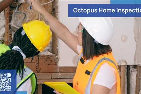 Standard post published to Octopus Home Inspections, LLC at June 17, 2023 20:00