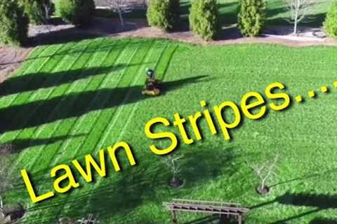 Mowing the lawn! Wright Mower Stripes