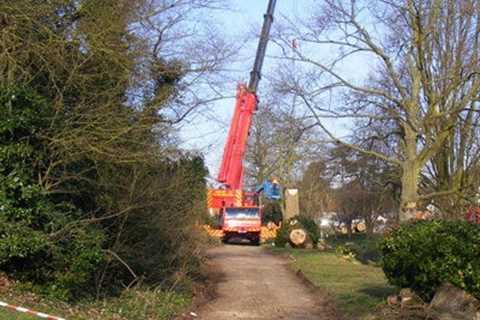 Tyldesley Tree Surgeons Residential & Commercial Tree Contractor