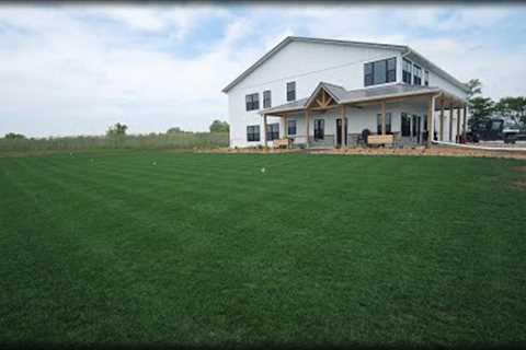 New Front Lawn 8 WEEKS AFTER SEEDING + Early Summer Plot Updates