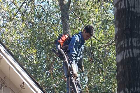 Why Gutter Cleaning Is Vital For Your Vancouver Home's Residential Roofing