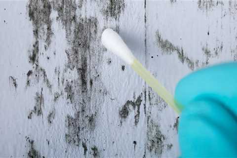 Why mold testing?