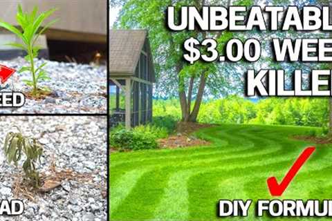 $3 DIY Weed Killer BEATS RoundUp Naturally!