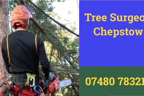 Tree Surgeons in Llanfach Commercial & Residential Tree Removal & Pruning Services