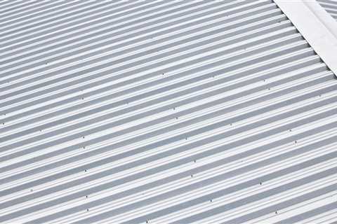 Transform Your Lake Macquarie Home With Stylish And Sustainable Metal Roofing