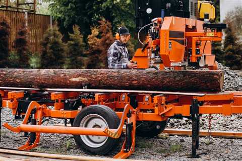 What to look for when hiring a tree service?