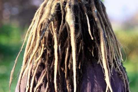 How To Get Mold Out Of Dreads