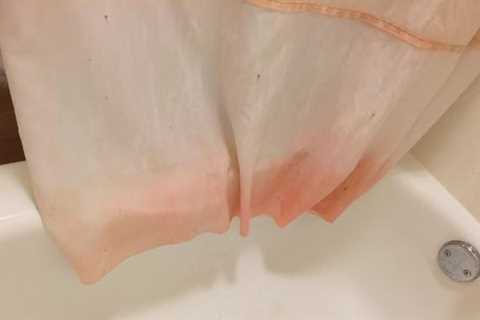 Treatment For Pink Mold in Shower Curtain - Pink Mold