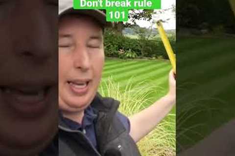 The most important thing to know in lawn care (rule 101)