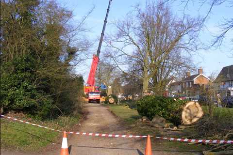 Tree Surgeon Penallt Tree Dismantling Felling & Removal across Penallt