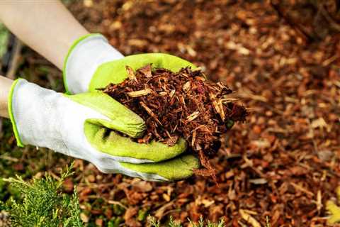 How Often To Replace Mulch