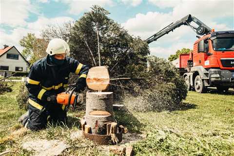 Why is tree service so expensive?