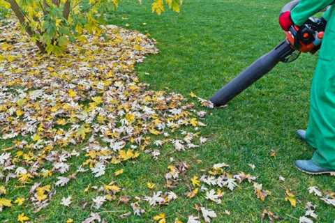 How To Mulch Leaves Without A Mower