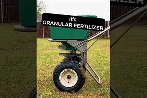 Granular Lawn Fertilizer in the Spring